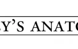 Grey's Anatomy Characters