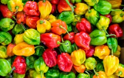 peppers