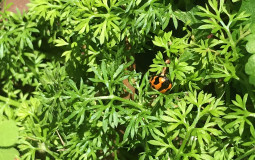 rating people i find attractive