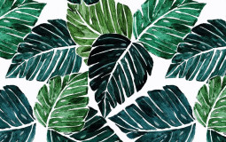 to all the boys ive loved before