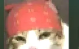 Brawlhalala