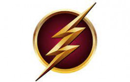 the flash (every speedster)