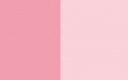 Anime boys/girls I'd down