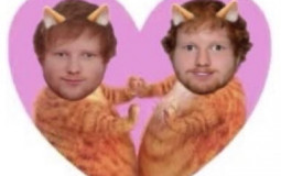 eshus trauma - flavorful edition