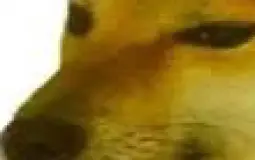 Doge Emojis tier list