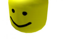 Best School subjects