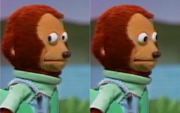 The Greatest Memes Ever