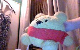 Harry Potter Characters