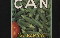 Can