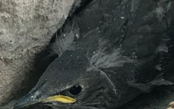 Mutuals I could beat in a fight