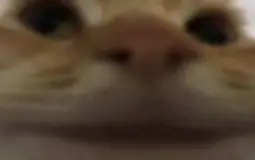 Sgushenka Studio’s Discord Server Tier List