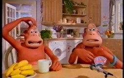 primates