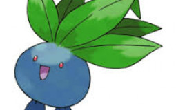 Usefulness of Sources