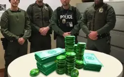 PRRPG Tournament Legal Mons