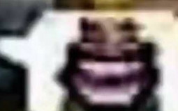 Clash Royale Cards I would bang