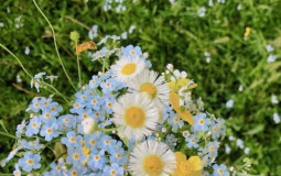 Best herbal supllements for overall health