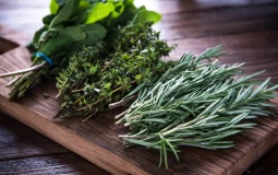 Herbes