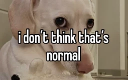 hëñteeai tag tier list