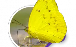 arkadaşlık seviyesi