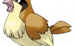 Pokemon Birds