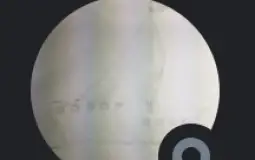 Discord pfps