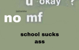 stress levels for end of year exams