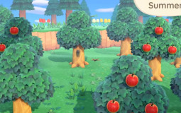 Fruit color tier list