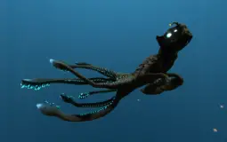 subnautica mob