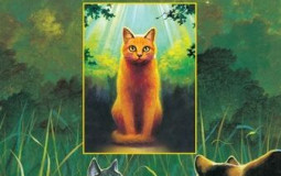 Warrior cats