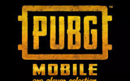 PUBG Mobile Pro Player