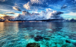 discord profile pictures