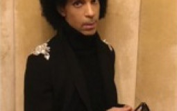 Prince Albums (Plus NPG and Side Projects)