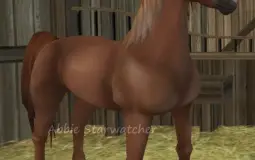 My Star Stable Breeds