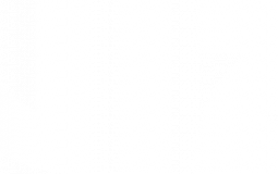 VIZ manga we are reading atm