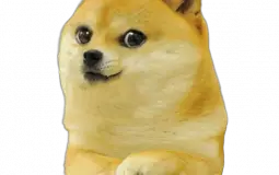 df