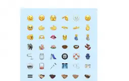 senoir citizens tier list