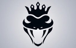 Best Players Rl