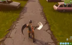 McSkins