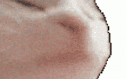 When pongon want a cat tier lizt