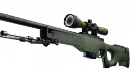 Rank CS:GO AWP Skins