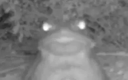 Random beers from the singles shelf