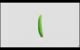 Cucumber Masturbation TierList