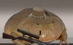 Pokemon Frogs