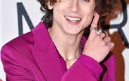 Timothee Chalamet Characters