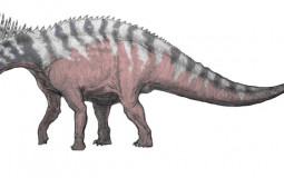 sauropods
