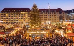 der Weihnachtsmarkt auf Dresden