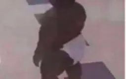 justins waifus