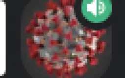 Madi server  tier list