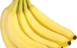 Definitive Whitewashed Tierlist