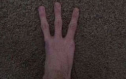 all the books I read this year